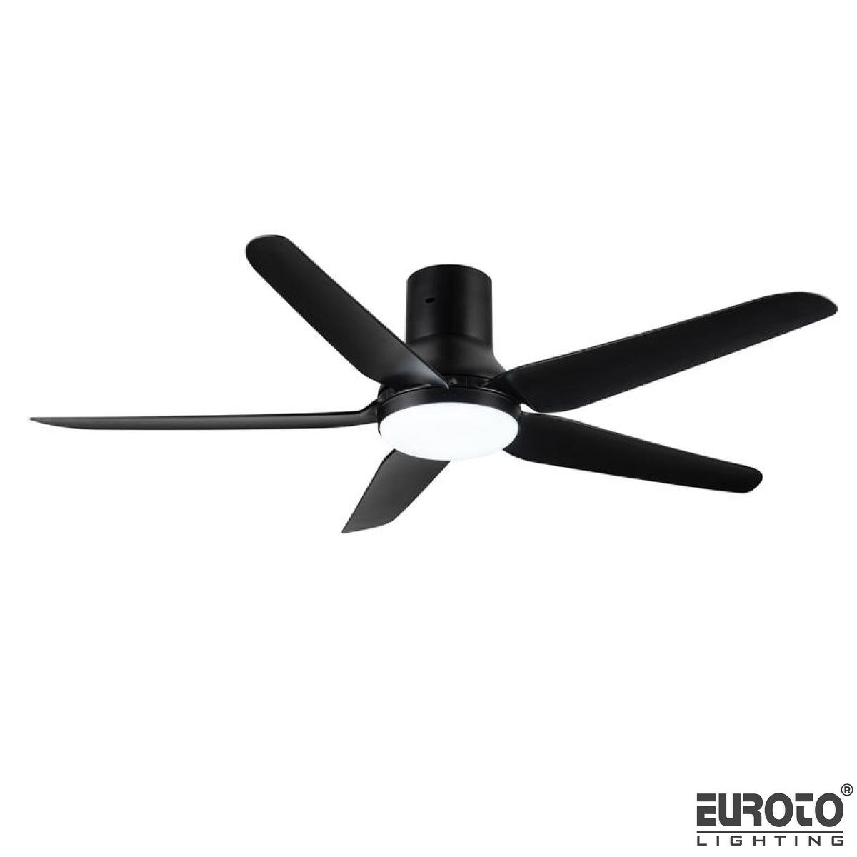 deneuroto-com-23-19-23-19