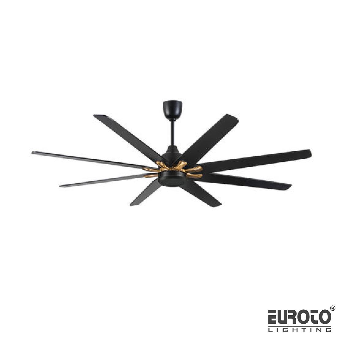 deneuroto-com-24-89-24-89-1