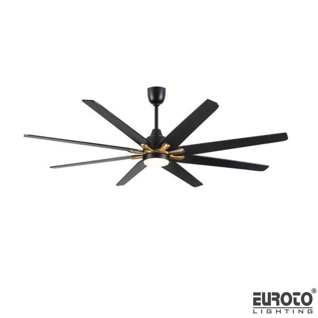 deneuroto-com-25-59-25-59-1