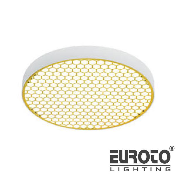 deneuroto-com-62-26-62-26