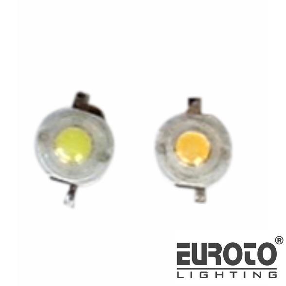 deneuroto-com-bong-tim-bong-tim