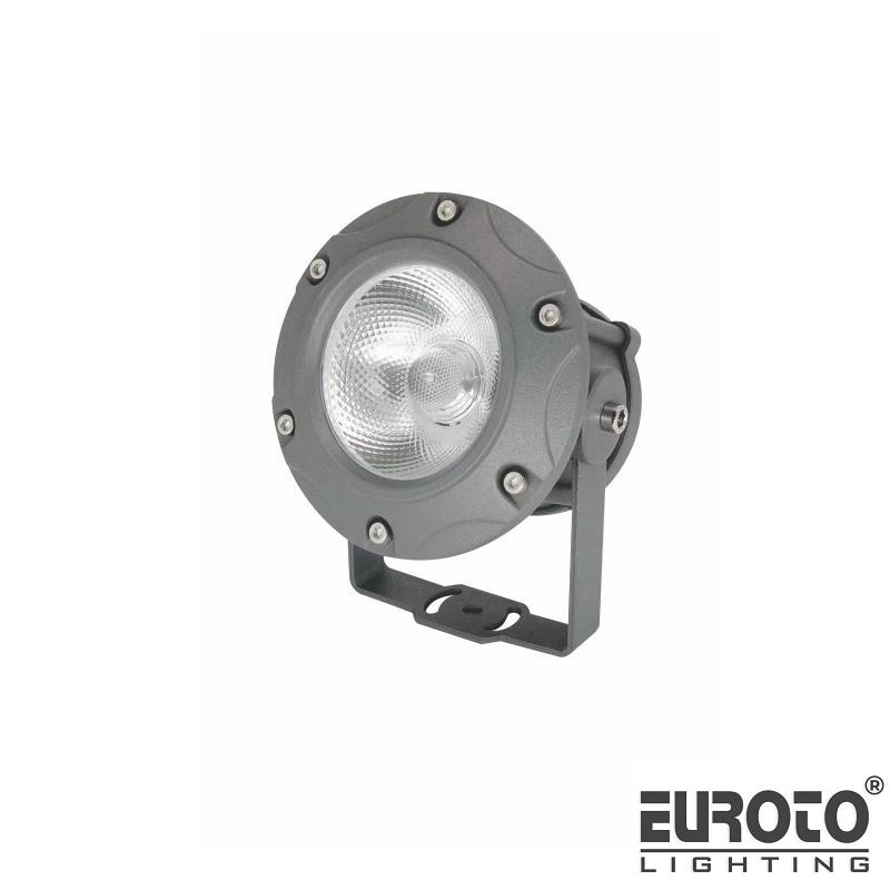 deneuroto-com-fnt-05-fnt-05