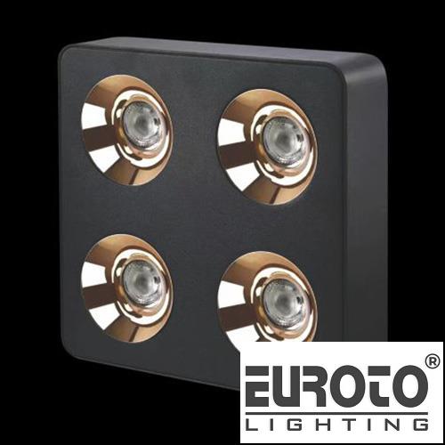 deneuroto-com-ln-198-ln-198