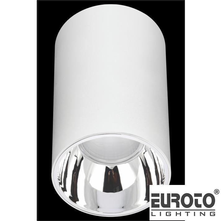 deneuroto-com-ln-91-41-ln-91-41